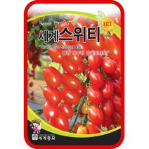 호박 단호박 수박 오이 씨앗 종자 50종 수세미 방울 토마토 파프리카 씨앗 여주 종자, 7. 세계스위티(대추방울토마토) 30립