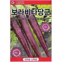 보라 노랑 당근 씨앗 보라색 자색 퍼플 미니 캐롯 씨, 보라비타