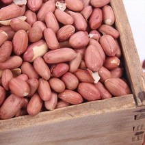 신난데이 고소한 맛이 일품 국내산 남지볶음땅콩, 볶음땅콩 500G, 1개