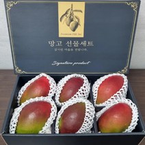 수입 브라질 애플망고 6과 9과 선물세트, 애플망고 9과 선물세트