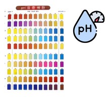 PH 표준 색판 과학 교구 화학 산성 리트머스 2인 초등과학 실험