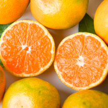 제주도 밀감 당도선별 하우스 귤 2kg 3kg 5kg, 1개