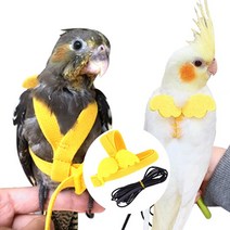 리드줄 모란앵무 하네스 새장 발목링 앵무새 장난감 회색앵무 발톱그라인더 금강앵무 집 날림장 반려새 산책, 쿠팡 2-앵무새하네스-S