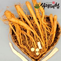 식탐대첩 2-3년재배 국내산 햇 생도라지 1kg, 단품