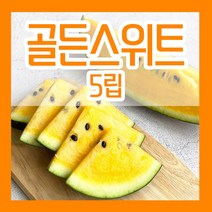 수박씨앗 참외 멜론 박씨 애호박 쥬키니호박 조선호박 단호박 밤호박 맷돌호박 땅콩호박 슈퍼호박 미국호박 수세미 동과 조롱박 텃밭 파종 종자 재배 모음, 17.노란수박씨 5립