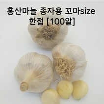 2022년도 햇 홍산마늘 한접 (종자용) 100알 꼬마사이즈 소형 홍산마늘종구 홍성마늘 씨앗 홍산마늘, 2022 홍산마늘 종자용 꼬마사이즈 한접 100알