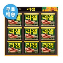 동원선물세트 리챔4호 (1세트) 명절선물, 단품