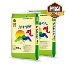 [2022년 햅쌀] 청풍명월 쌀 20kg, 단품
