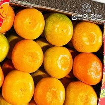 [농부의정성] 제주 하우스귤 선물용(로얄대과) 5kg, 단품없음