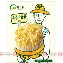 아시아종묘/콩씨앗종자 녹두/숙주나물(100g) 새싹채소숙주
