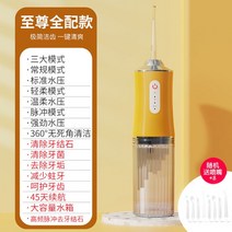 구강세척기 물치실 휴대용 구강 세정기 워터 제트 치아 세척기 3 모드 클리너, 03 3position-8nozzle