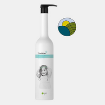올라잇 댄디라이언 센시티브 샴푸 1000ml