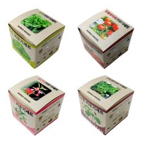 키우기세트 강낭콩 방울토마토 봉선화 상추 키우기