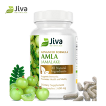 지바 보타니컬즈 암라 파우더 캡슐 비타민C 60베지캡슐