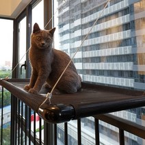 큰 고양이 창 해먹 흡입 컵 고양이 새끼 고양이 태양 침대 해먹 통기성 메쉬 애완 동물 휴식 침대 아늑한 고양이 둥지 내 하중 20kg, 검은색, 리터 67x39.5cm