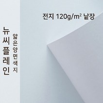 뉴씨플레인 종이문화 얇은 양면색지 120g 전지 낱장 1매 No.04 밝은회색, 1장