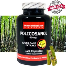 폴리코사놀 추출물 쿠바산 사탕수수 40mg 120캡슐 캐나다 이노뉴트리션 직구