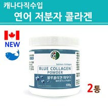 수용성 저분자피쉬콜라겐 어류 트리펩타이드 초저분자 나노 생선 가루 분말 파우더 연어 껍질 식물성 블루베리 흡수가 빠른 좋은 높은 가수분해 캐나다 해외 직구 직수입, 100g, 2개