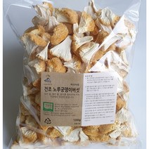 착한농부들 무농약 노루궁뎅이버섯 쪼갠 건조 2달분 300g 49 000원/100g 25 000원, 100g
