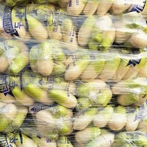 제주무 1박스 20kg 무 한박스, 1박스 (20kg 내외)