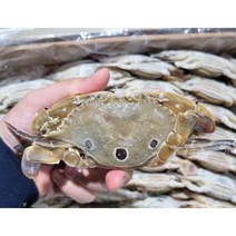 넉넉수산 냉동 삼점게 암게 80/100 6kg, 냉동 삼점게(암게) 80-100 6kg