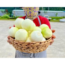 내손에팜 깐 양파 2kg 3kg 5kg 무농약 친환경 햇양파 국내산 손질편한, 친환경  2kg