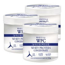 푸른들판 미국 농축 유청 단백질 WPC 분말 가루 WHEY 웨이 프로틴 보충제 파우더 추천, 350g, 3통