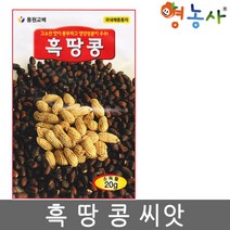 동원 흑땅콩씨앗 20g, 동원흑땅콩, 동원흑땅콩