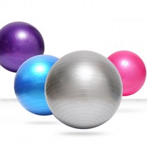 짐볼 짐볼/다이어트/임산부/필라테스 납품] [헬스장, 65cm_퍼플