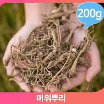 담금주 약주 머위 200g 뿌리 영양 약초 쌉싸름 건강, 1개