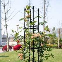 21세기트랜드 써클 폴 플랜트 지지대, 써클 폴 플랜트 지지대 지름 20cm 높이 90cm, 블랙