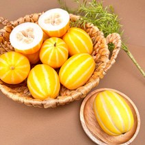 고당도 산지직송 가정용 정품 성주 꿀참외 참외 1.5kg 3kg 5kg 10kg, (가정용) 3kg / 중과-대과 / 8-13과, 1개