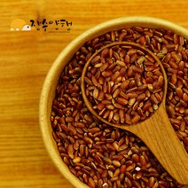 홍미800g[국산], 1개