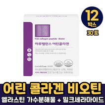 락토테미 하루 밸런스 어린콜라겐 피쉬콜라겐 펩타이드 콜라겐 비오틴 식약처 개별인정형 건강기능식품, 12박스, 하루밸런스 어린콜라겐 x 30포