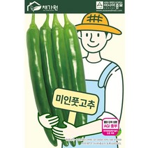 고추 미인풋고추 100립 고추씨 두리 씨앗 아시아종묘