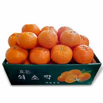 이제주몰 블루제주 레드향 가정용 1.5kg(13-18과), 단품없음
