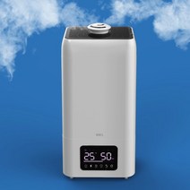 로엘전자 마스터스마트 대용량가습기, MASTER smart