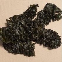 미역귀, B 상품 1.4kg