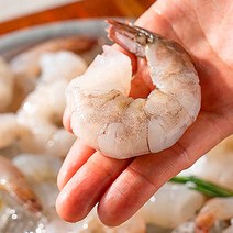 새우철 프리미엄생 칵테일 1kg 감바스, 칵테일새우 (41/50) 소