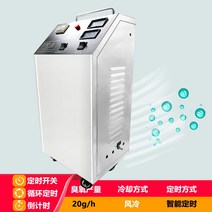 오존 발생기 살균기 청정 소형 공기 탈취 이오나이저, 20g오존발생기