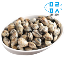 냉동 피바지락 바지락 조개 5kg 500g 10팩 해물요리 술안주 해장 조개탕 조개살