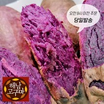 (백프로 품질보증제) 해남 자색 고구마, 특상, 3kg