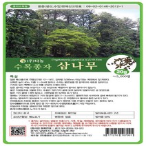 삼나무씨앗 20g 나무씨앗