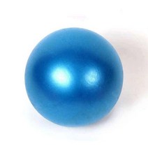 홈트용 미니 짐볼 펌프세트 짐볼헬스 운동공 웨이트볼, 블루