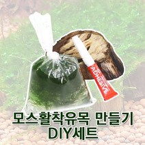 피알피쉬 모스활착유목 만들기 DIY세트, A세트