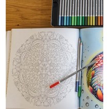 스테들러 카라트 수채 색연필 125 낱색 (1타 6자루), 19