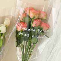 (주)아트인 투명 꽃 포장지(7종-10매), 투명 플라워