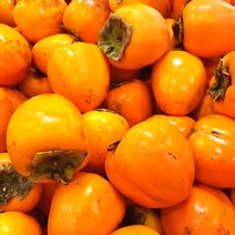 [감 맛집] 가을 대표 과일 청도 반시 진영 단감 대봉감 홍시, 대봉감 중과 2.5kg (9~11과)