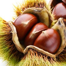 23년산 부여 햇 밤 (특) 2kg / 2개주문시 5kg발송, 단품