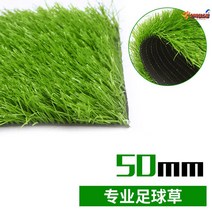 인조잔디매트 골프매트 골프용품 축구장 천연 테니스장 잔디 족구장 풋살구장 조경 인조잔디, 프로축구5cm풀